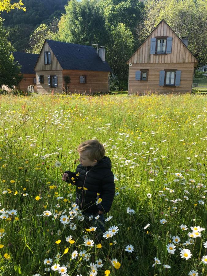 Les Chalets D'Arrens Esterno foto